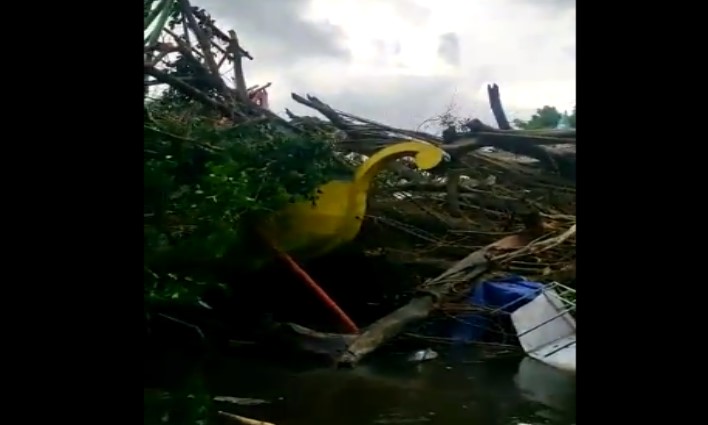 Angin Kencang Di Denggung Sleman Pohon Besar Tumbang Di Tengah Wahana