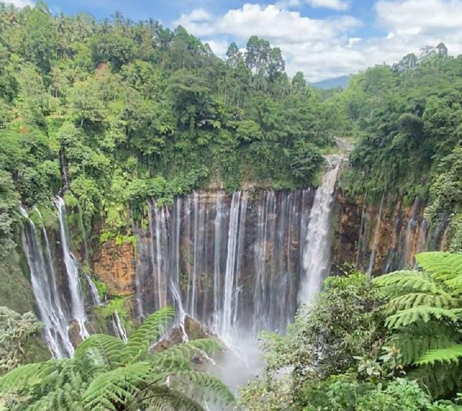 5 Rekomendasi Pilihan Wisata Alam Malang Dengan Suasana Menyejukkan