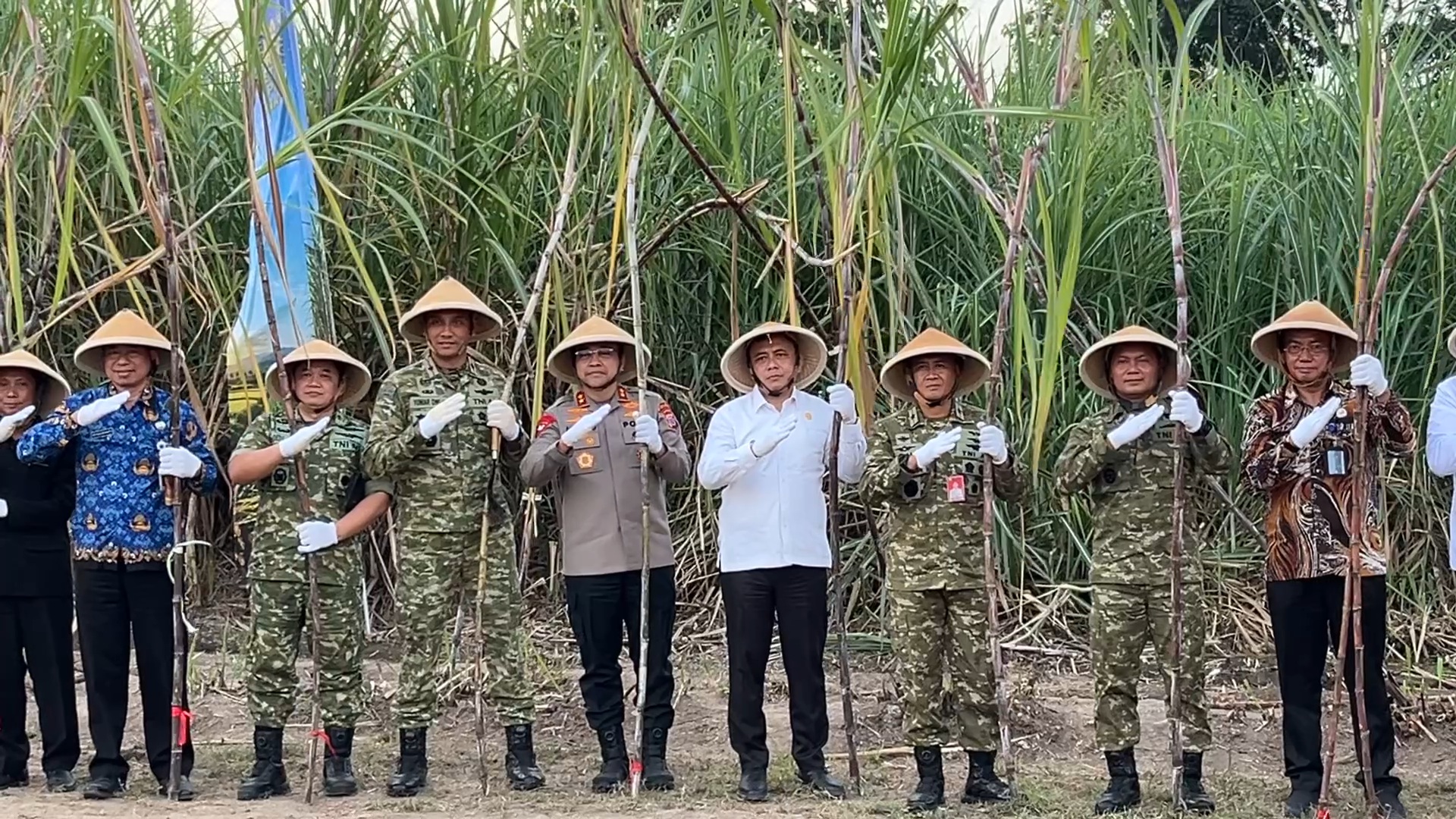 Panen Tebu di Lahan Ketahanan Pangan Lanud Adisutjipto, Dukung Program Kedaulatan Pangan dan ...