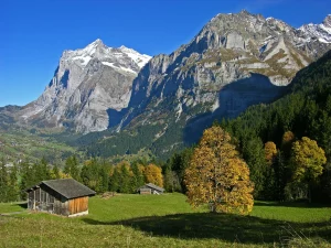 destinasi wisata terkenal di negara Swiss, Grindelwald