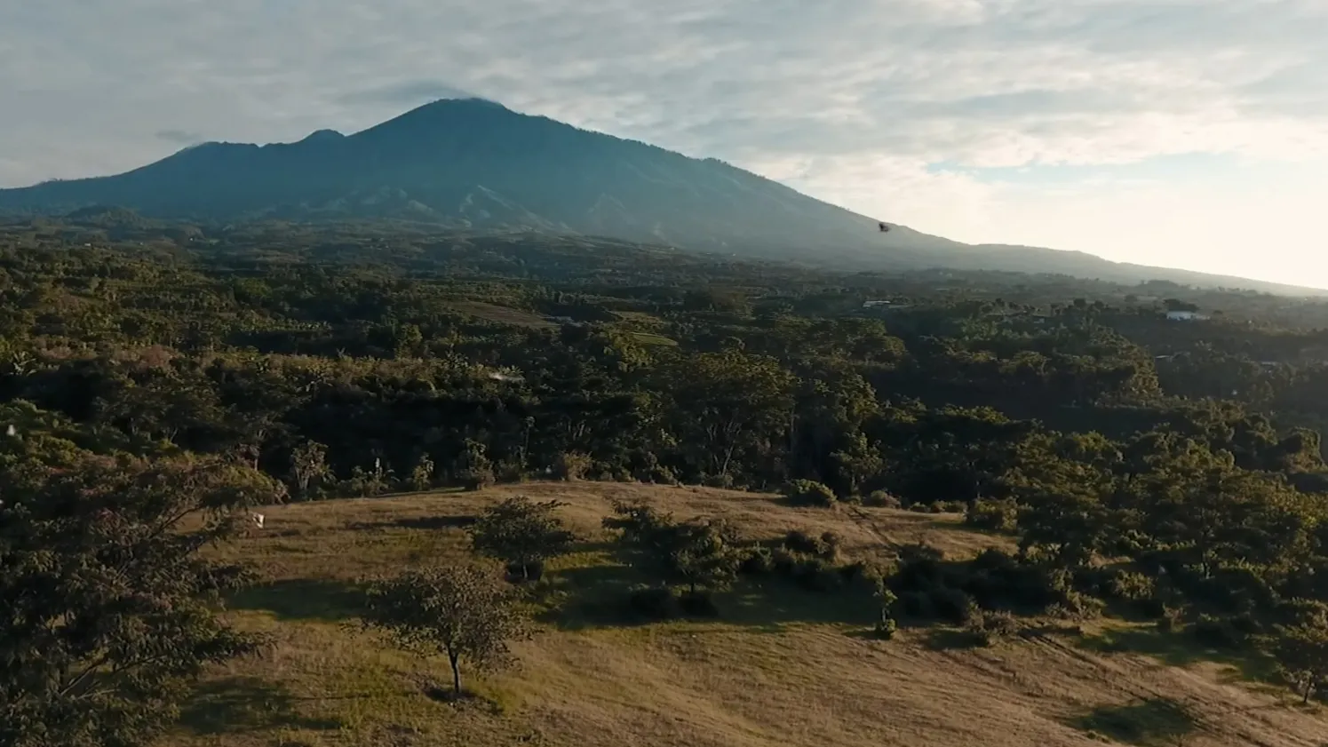 Tempat Wisata Kota Batu yang Wajib Dikunjungi: Panduan Liburan Terbaru 2024