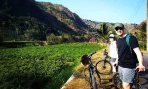 Tempat healing di Jogja