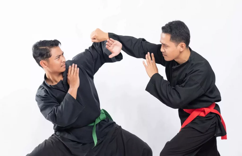 Mengenal Budaya Pencak Silat Jakarta, Ditetapkan UNESCO Sebagai Warisan ...