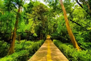 taman hijau di DKI Jakarta