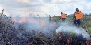 Lahan Terbakar di Kabupaten Sukamara