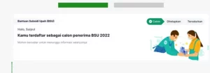 bsu tahap 2