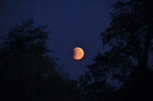 Dampak Gerhana Bulan Total