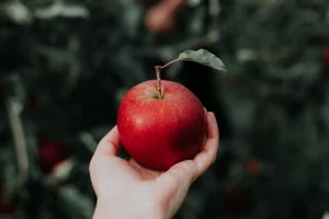 buah untuk asam lambung 