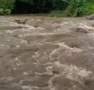 remaja putri terbawa arus sungai di puhsarang kediri