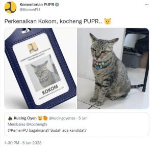 kucing Kementerian PUPR