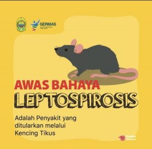 Penyebab leptospirosis