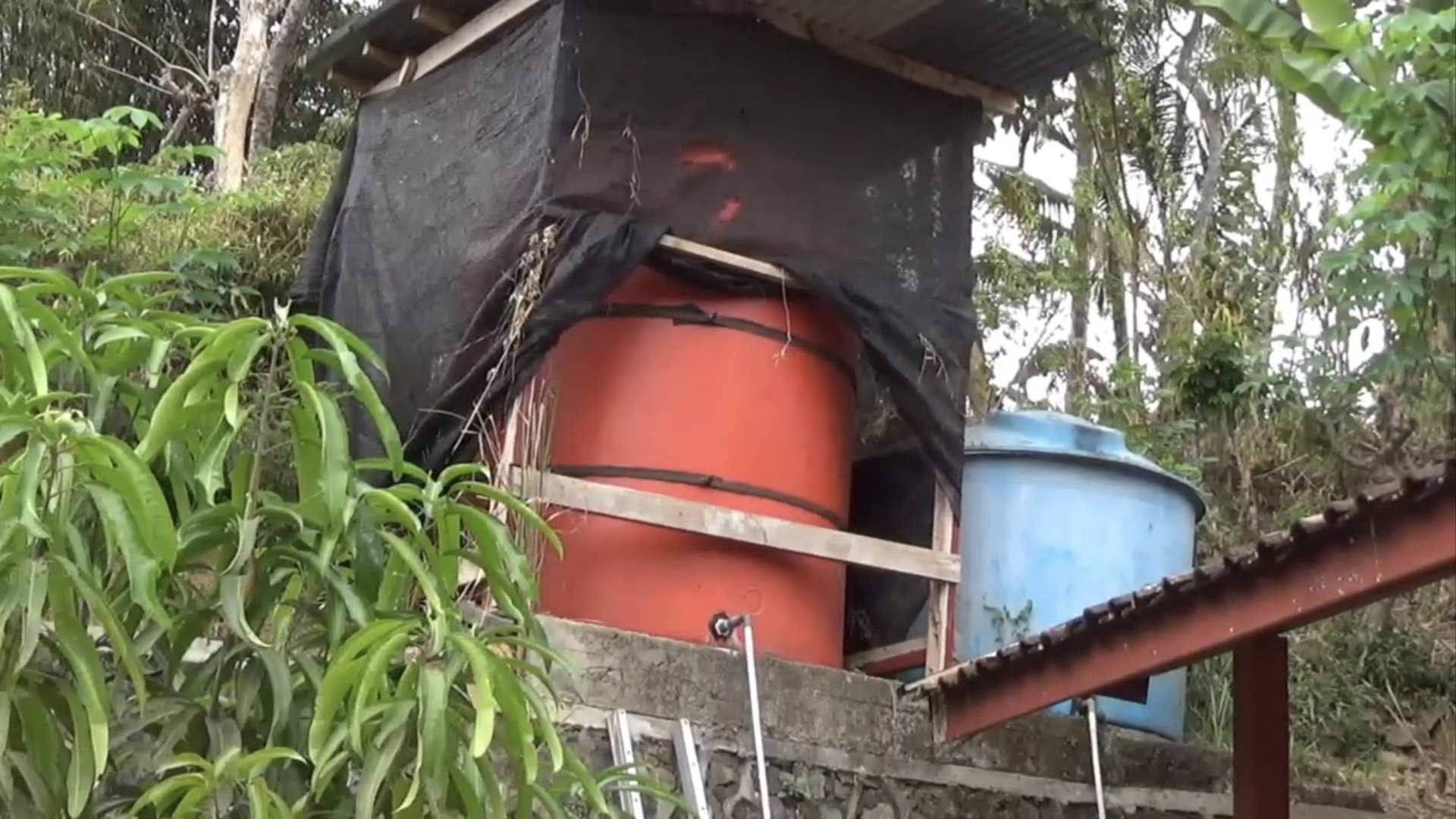 Kekeringan Ekstrem, SDN Jatiroto Kulon Progo Hentikan Program Ambarawa