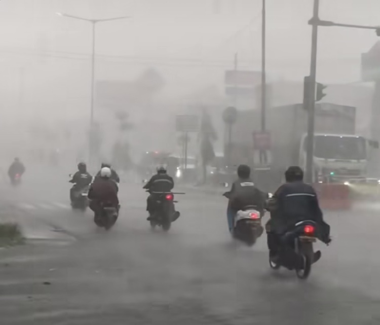 Hujan Lebat dan Angin Kencang di Sleman Sebabkan Sejumlah Pohon Tumbang, 1 Orang ...