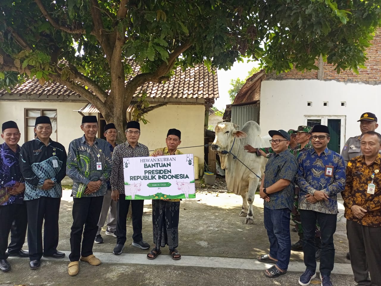 Si Bagong, Sapi Kurban Milik Presiden Prabowo Diserahkan Bupati Bantul untuk Warga di ...
