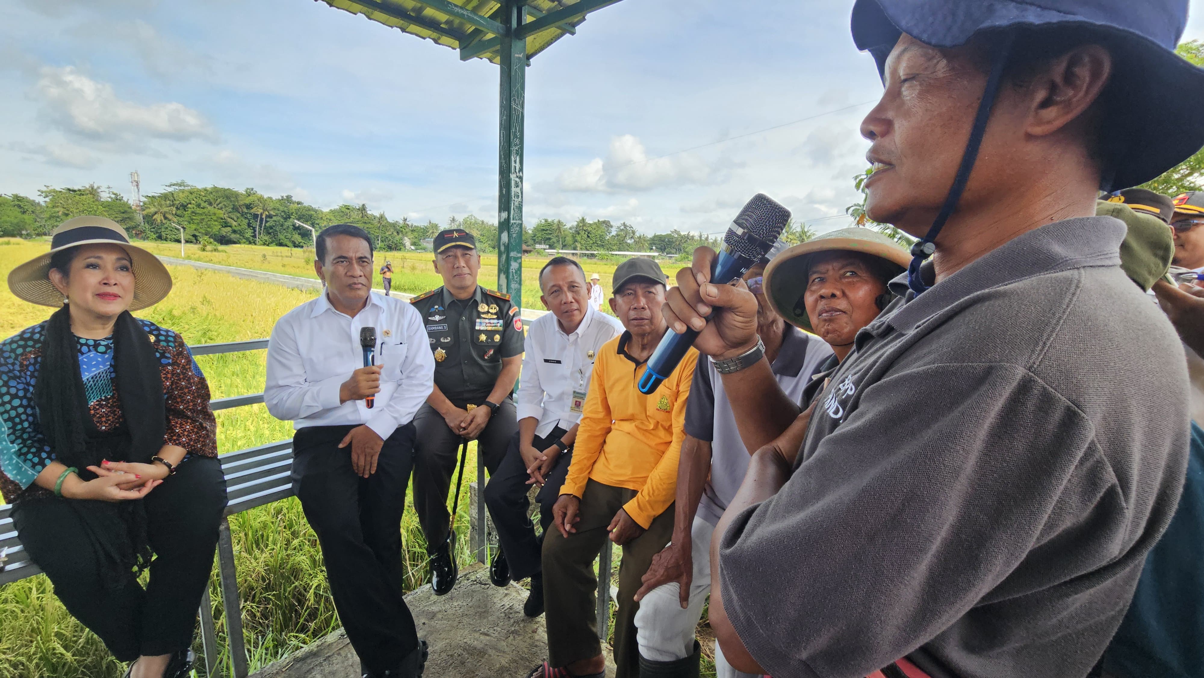 Dapat Instruksi Presiden, Mentan Amran Minta Bulog Beli Gabah Petani Rp 6,5 Ribu ...