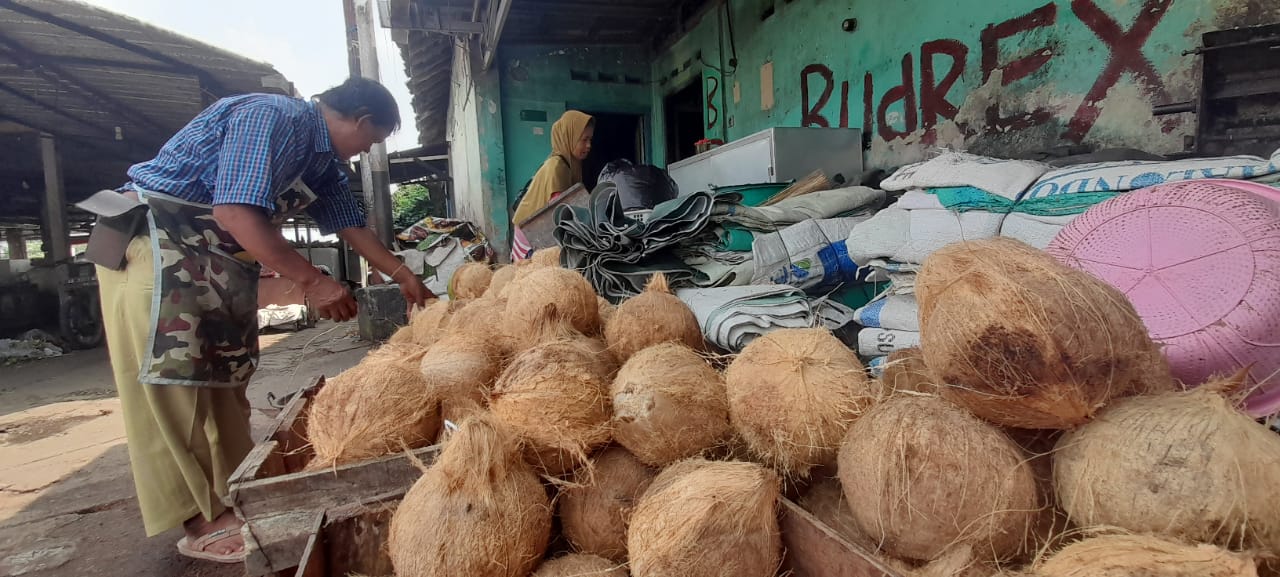 Harga Kelapa Santan di Pasar Bantul Melambung Tinggi, Capai Rp 18 Ribu/Butir