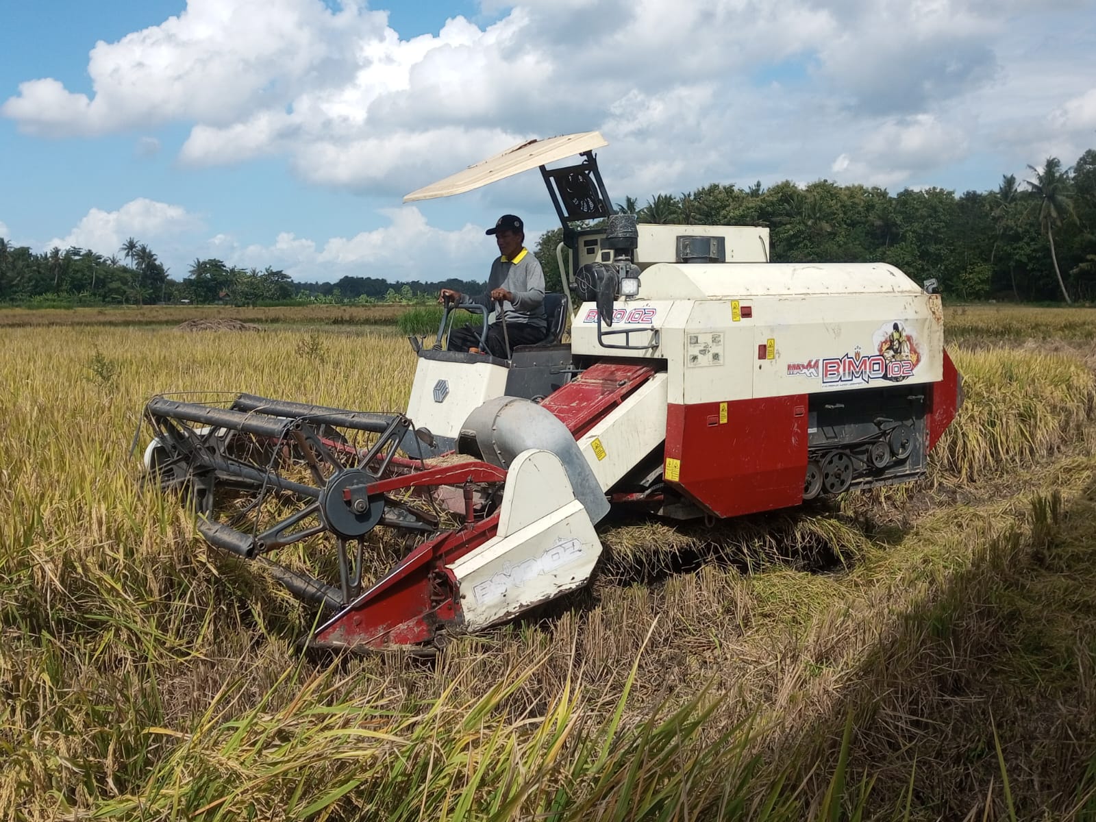 Strategi Pemkab Bantul Tekan Alih Fungsi Lahan Pertanian, Petani Bisa Makin Untung?
