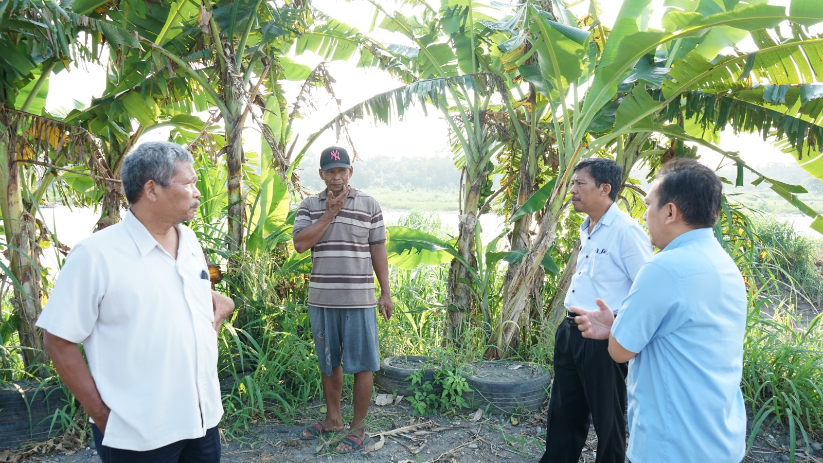 DKP Bantul dan BKSDA Sudah Cek Lokasi Kemunculan Buaya di Sungai Progo, Ini ...