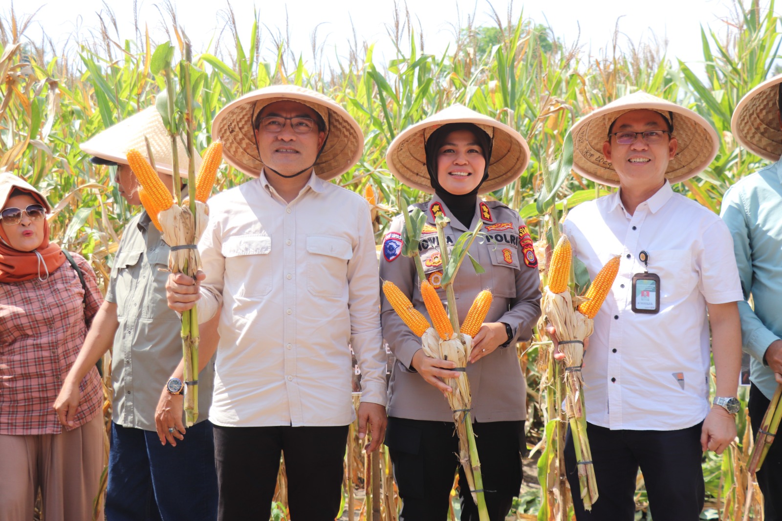 Kementan Klaim Indonesia Surplus Jagung Pakan, Pemerintah Bakal Stop Impor