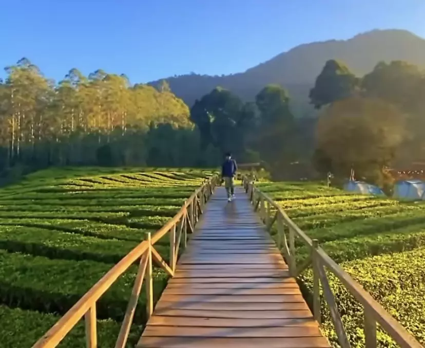 rekomendasi wiasata di Pangalengan Bandung