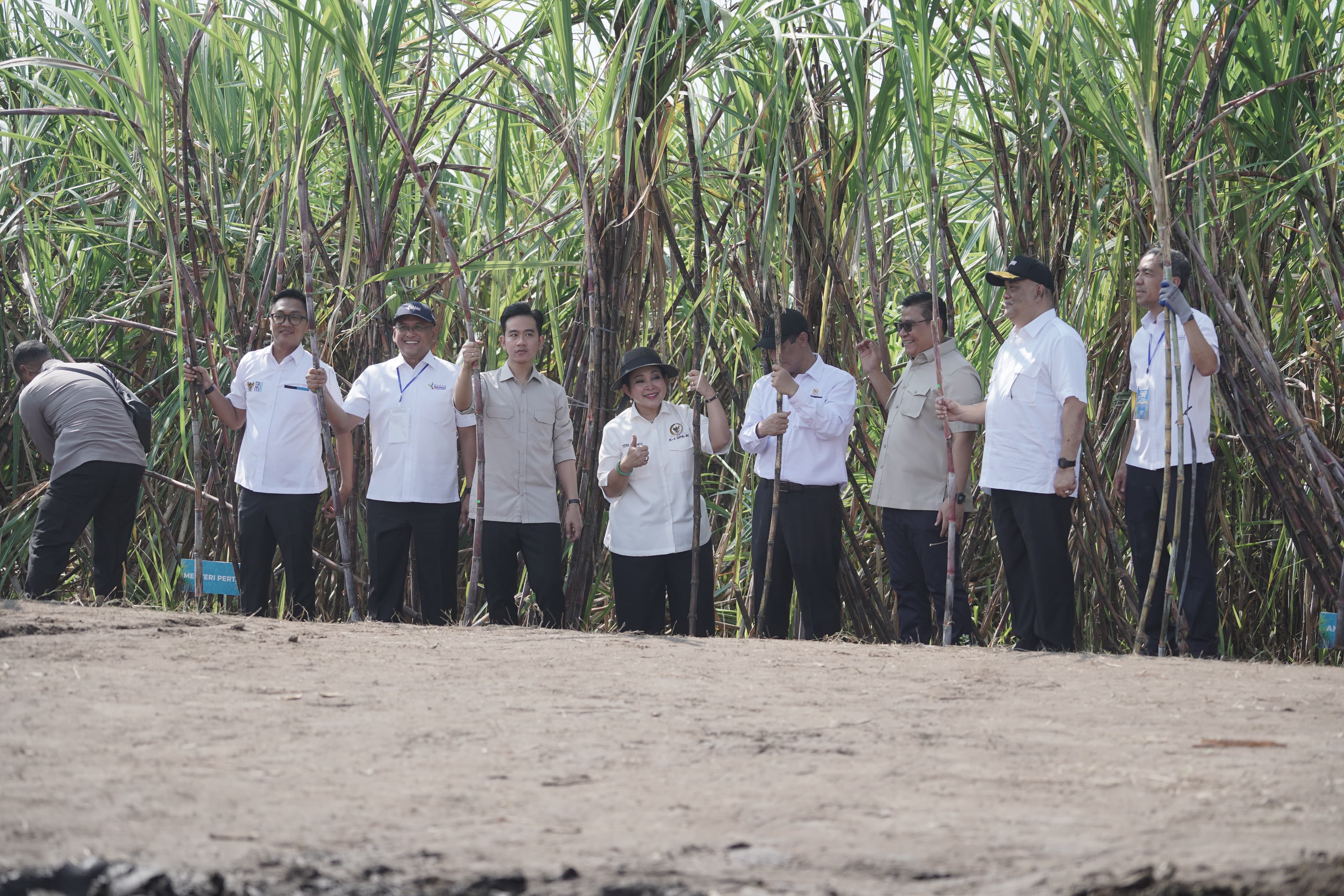 Prabowo Targetkan Swasembada Gula di Tahun 2026, Gibran Dorong Pemda DIY Perkuat Sinergi