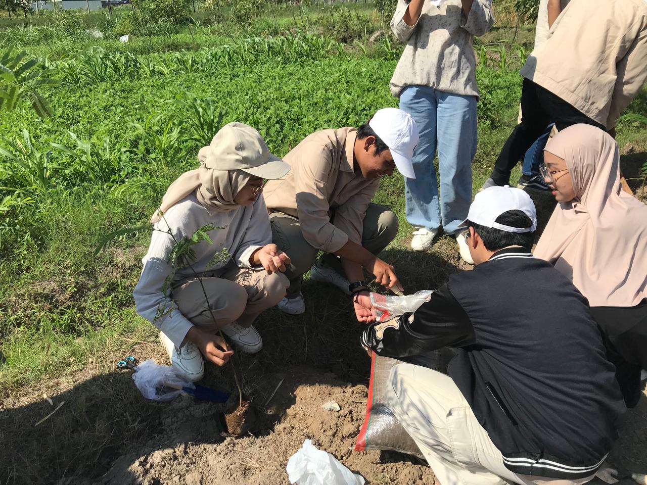 Alumni FEUI 1984 dan Karya Salemba Empat Gelar Tanam 4000 pohon di 40 ...