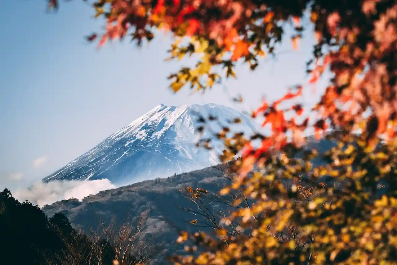 Cara Magang ke Jepang dari Kemnaker, Lakukan Tahap-tahap Berikut