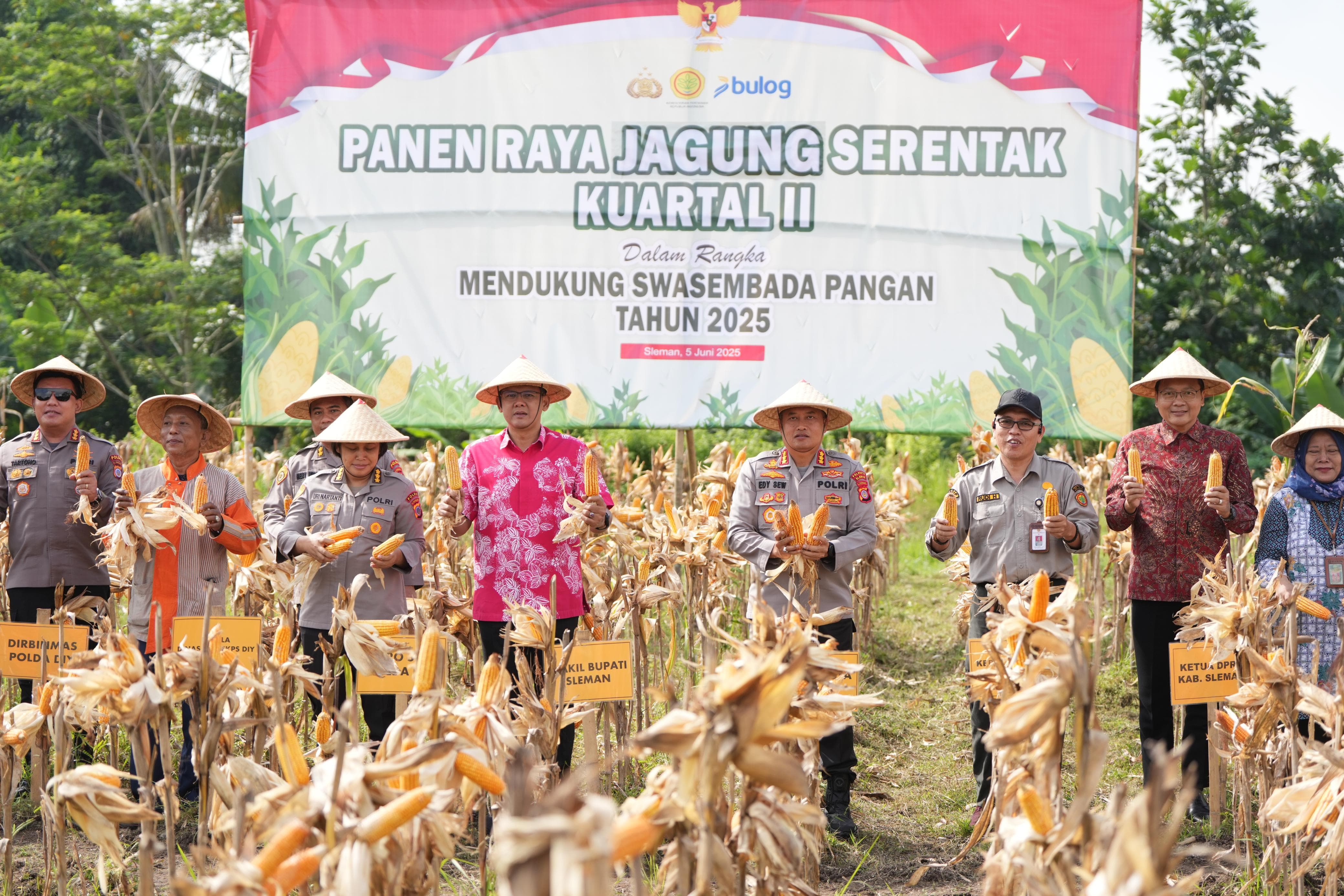 Panen Raya Jagung Serentak, Polresta Sleman Manfaatkan Lahan Tidur Jadi Produktif