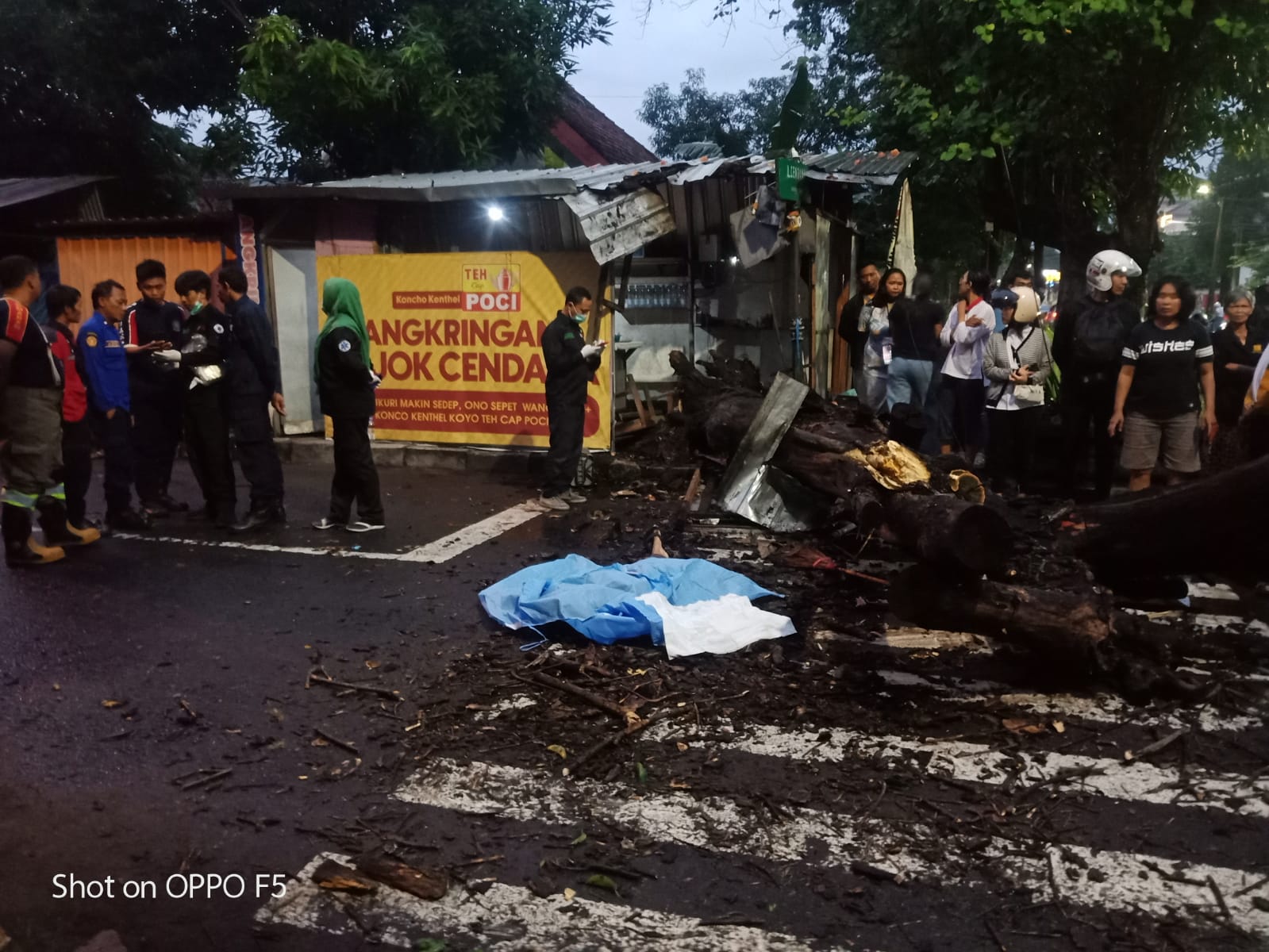 Penjual Angkringan Tewas Tertimpa Pohon Saat Menyapu di Jalan Cendana Jogja