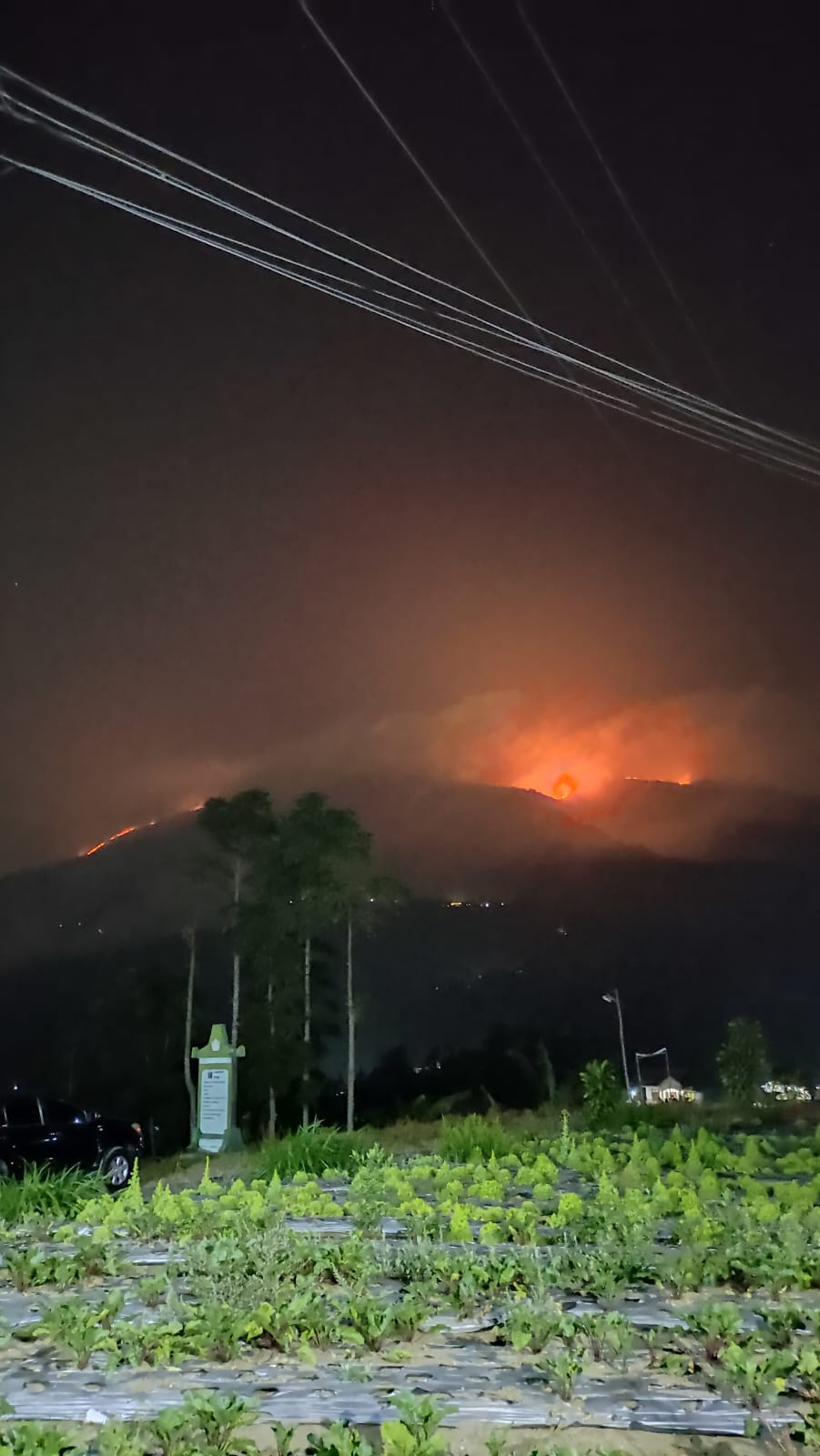 kebakaran Gunung Merbabu