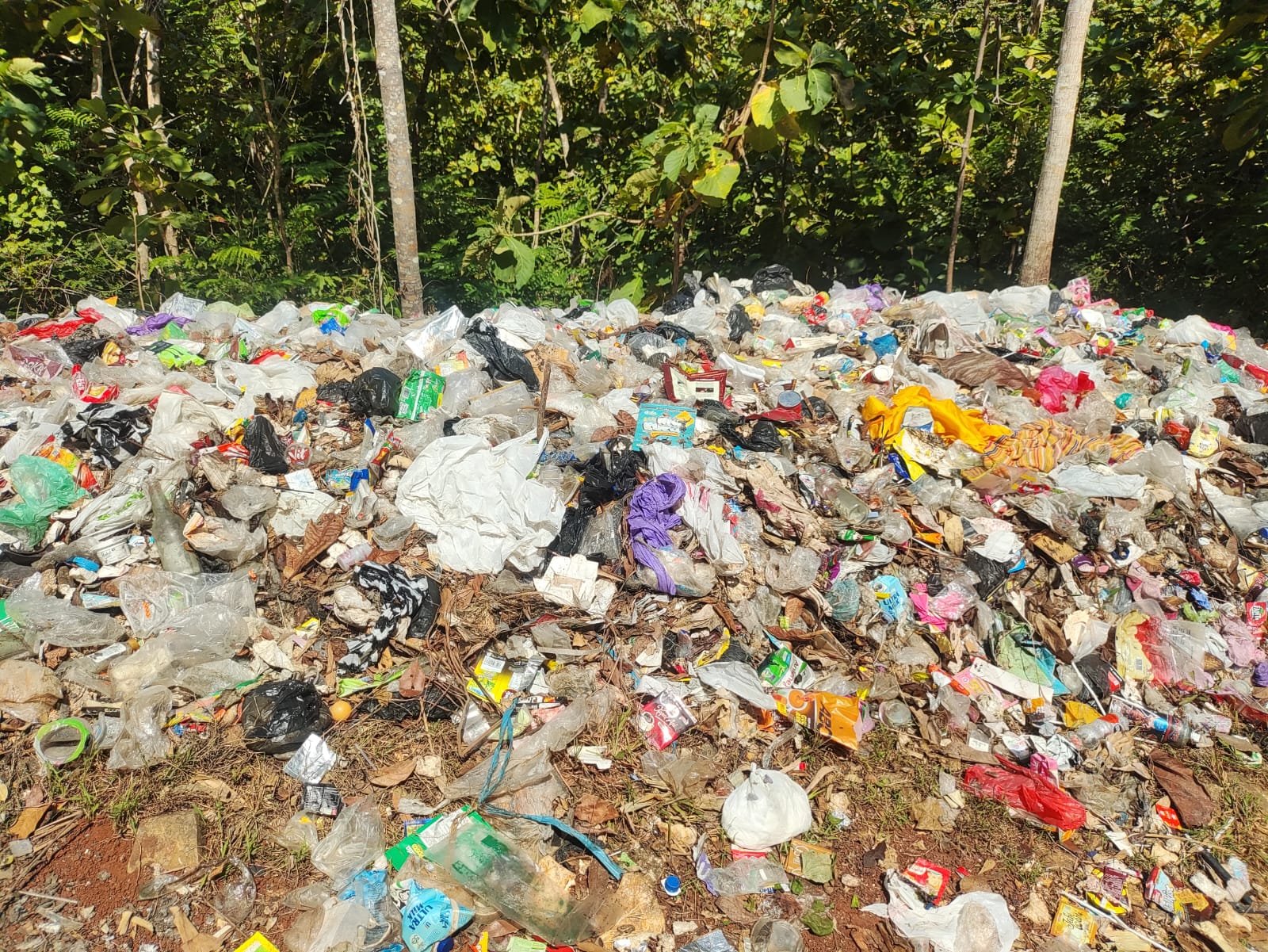 Nekat Buang Sampah Secara Ilegal, Pembuang Sampah Mengaku Tidak Tahu Ada Larangan