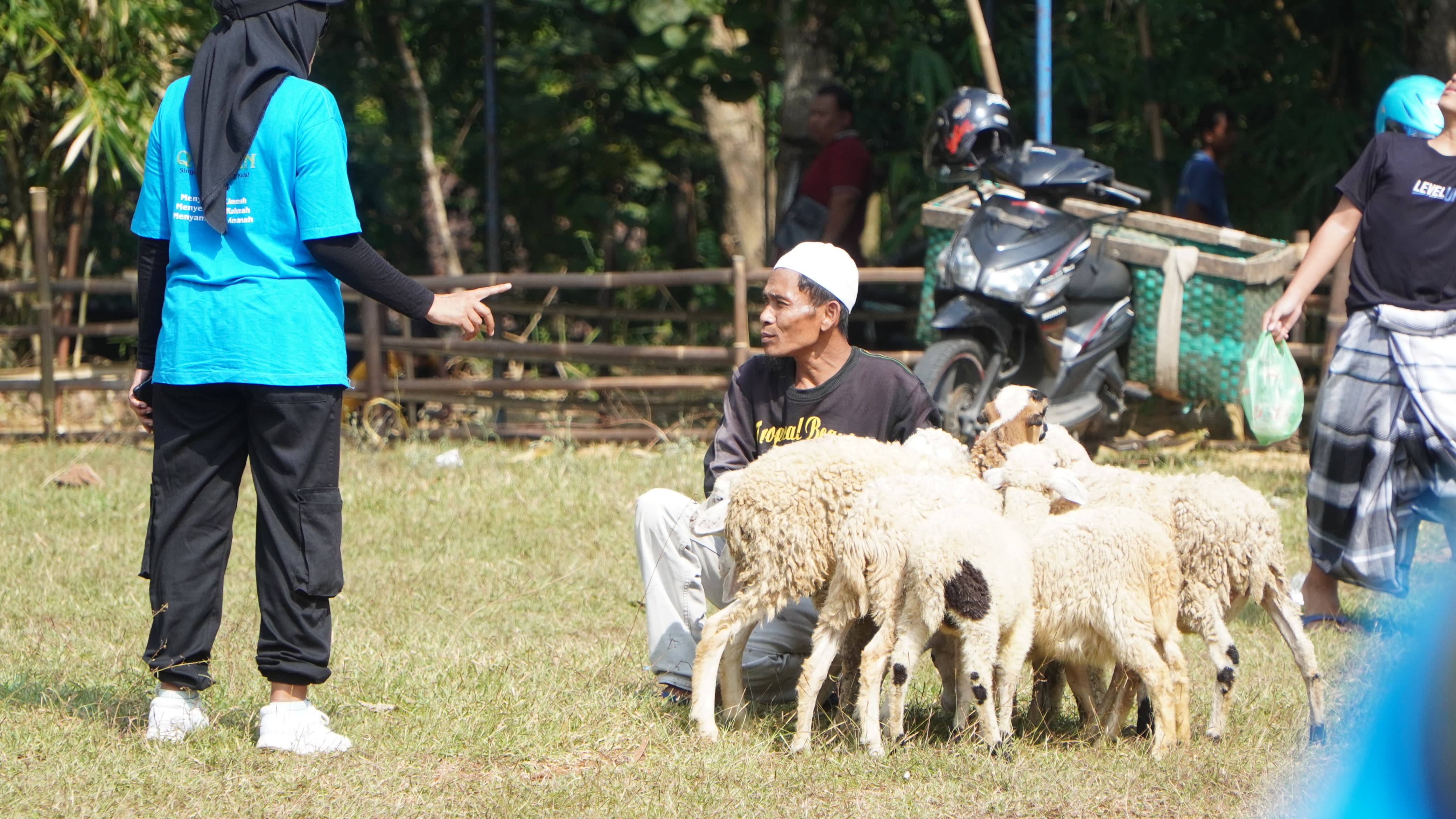 Warga Gunungkidul Terima 1.600 Domba Bantuan Kurban dari Singapura