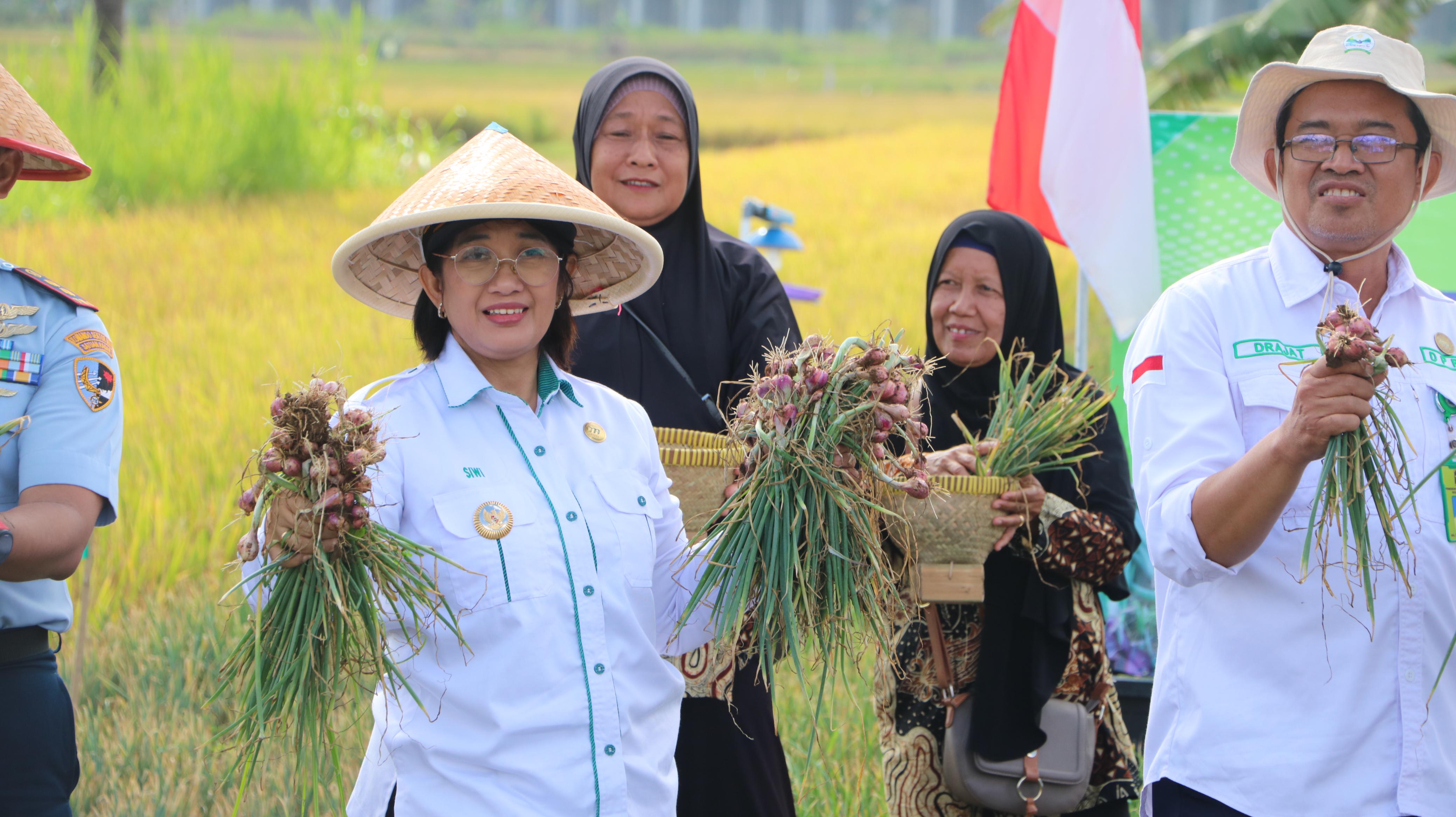 Pemerintah Kabupaten Kulon Progo Gelar Wiwit dan Farmer Field Day (FFD) Bawang Merah ...