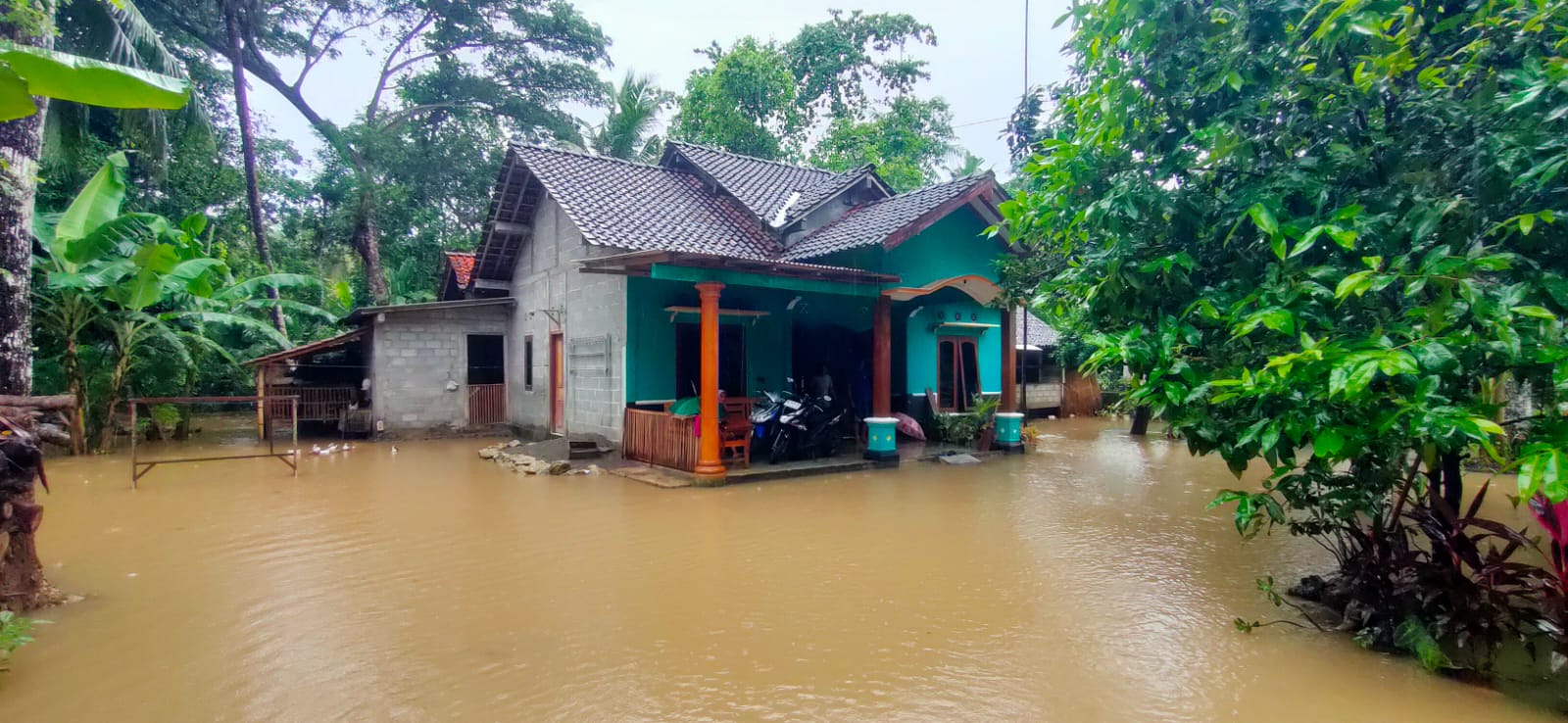 Hujan Deras Sebabkan Banjir di Bumirejo Lendah, Belasan Rumah Terendam