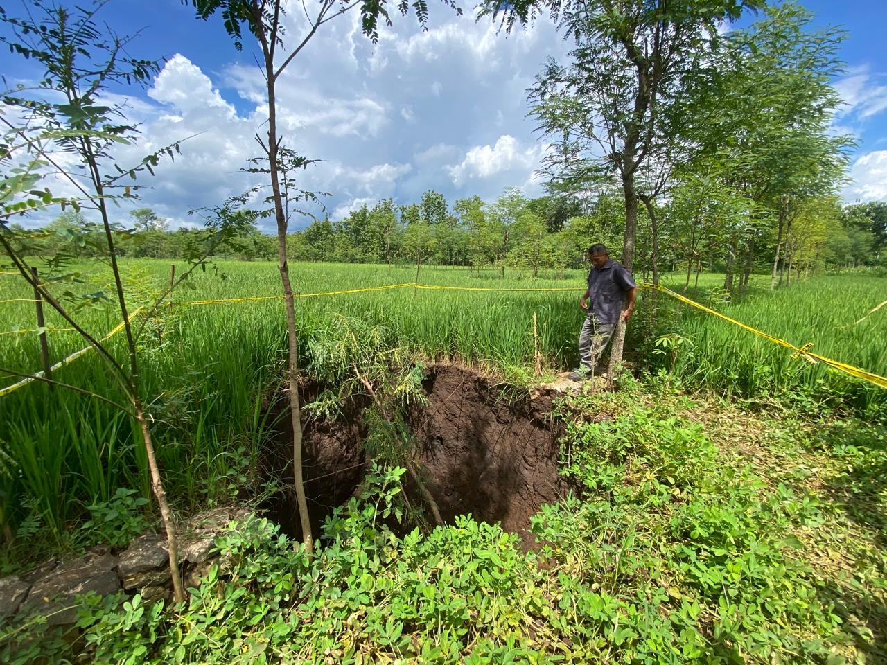 Akibat Hujan Deras, Sinkhole Berdiameter 4 Meter Muncul Di Area Persawahan Gunungkidul