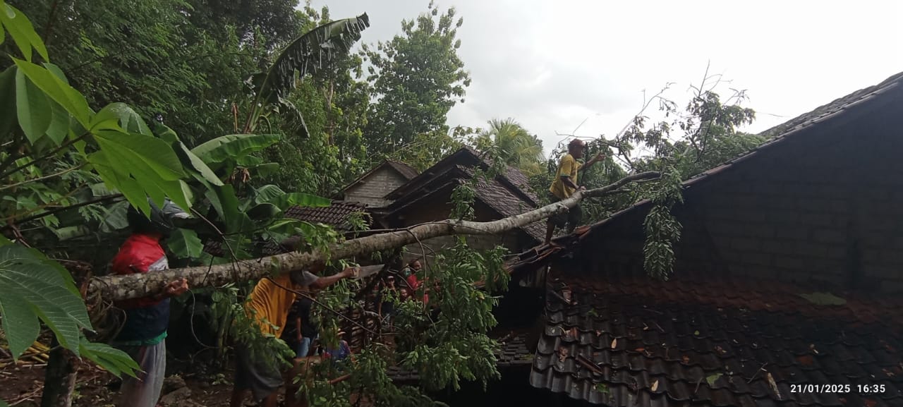 Hujan Deras Disertai Angin Kencang, Pohon Bertumbangan dan Rumah Warga Gunungkidul Rusak