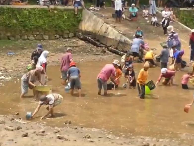 Hore! Ratusan Ribu Benih Ikan Siap Disebar di Gunungkidul Untuk Jaga Ekosistem Perairan ...