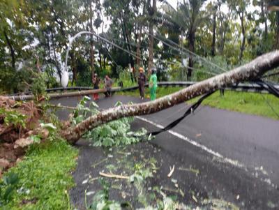 Jalan Menuju Samigaluh Kulon Progo ditutup Total Sementara