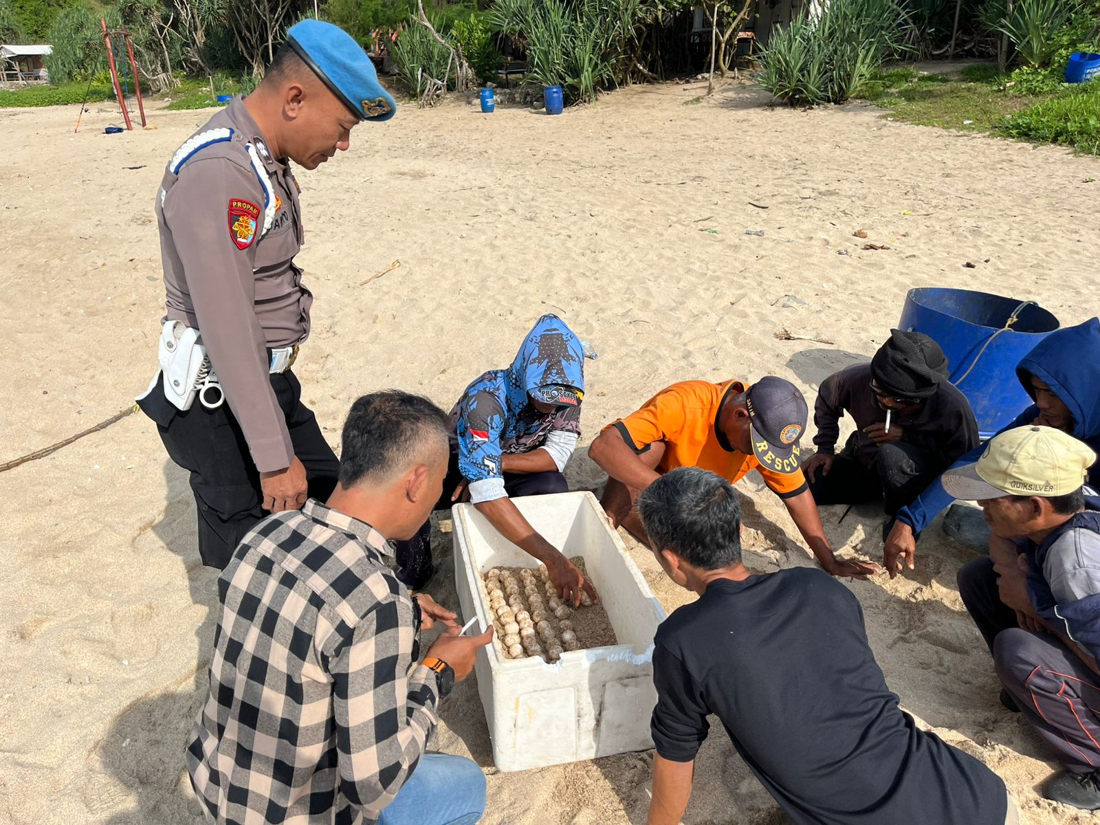 Ratusan Telur Penyu Kembali Ditemukan di Pantai Jungwok Gunungkidul