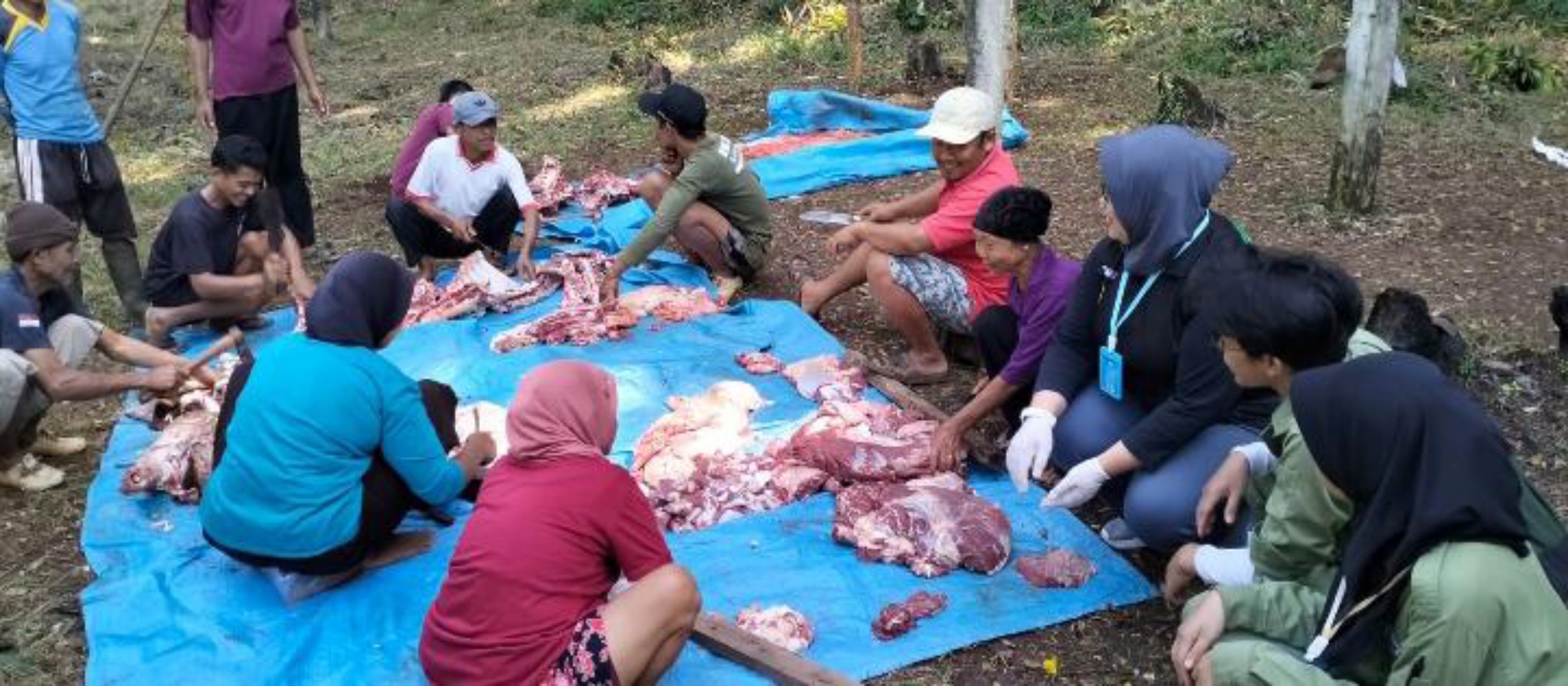 Waspadai Cacing Hati pada Hewan Kurban, Ini yang Dilakukan DPKH Gunungkidul