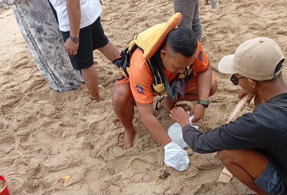 Hati-hati ! Ubur-ubur Beracun Mulai Mendarat di Pantai Gunungkidul