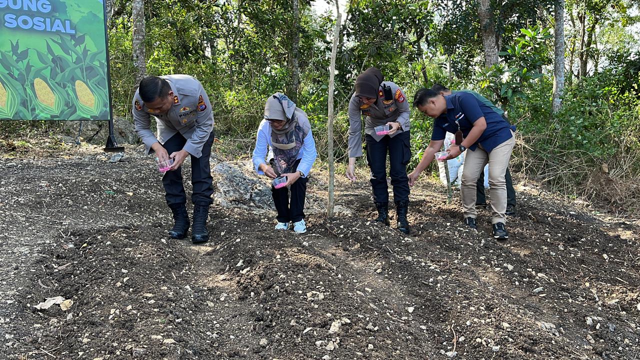Polres Kulon Progo Tanam Jagung di Hargorejo Kokap