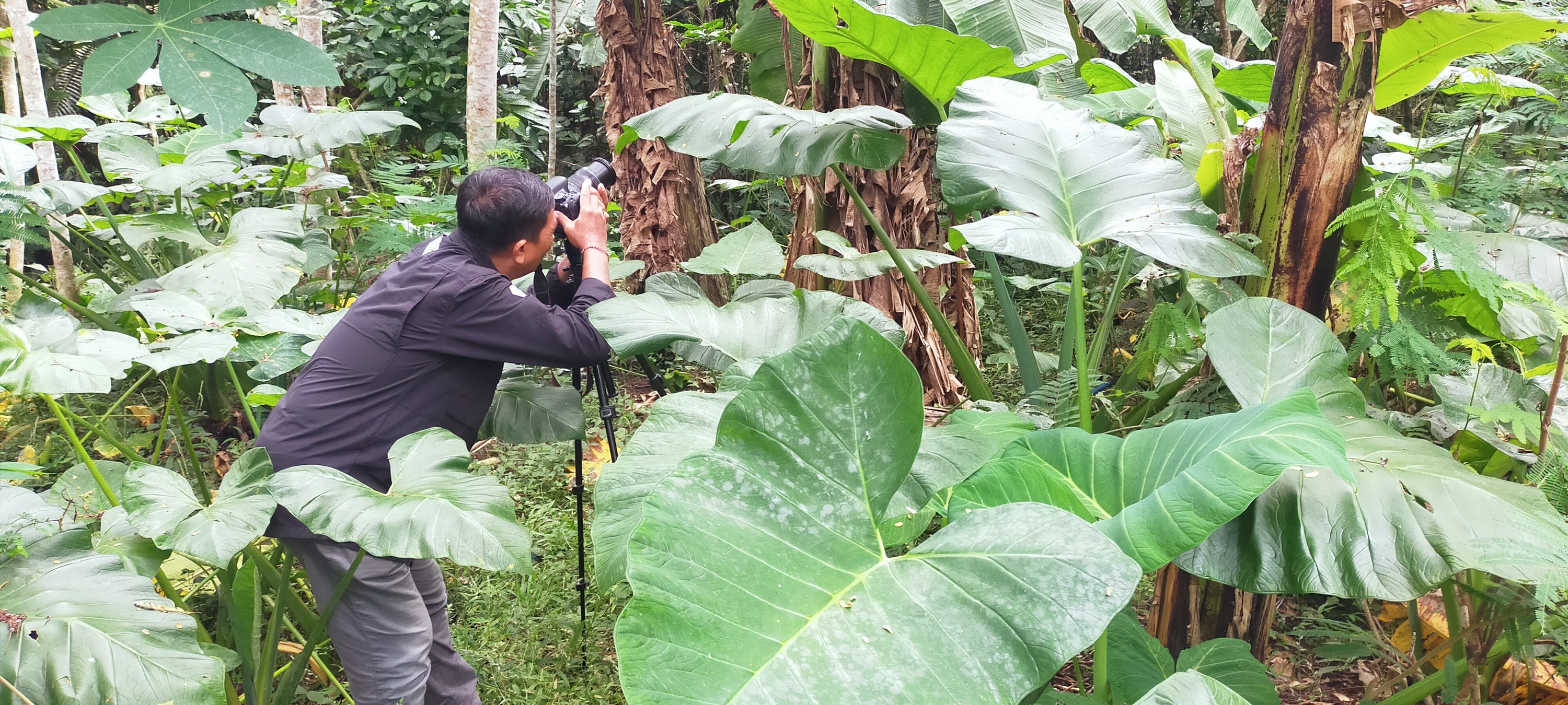 Libur Nataru, Desa Wisata Kulon Progo Terima banyak Kunjungan