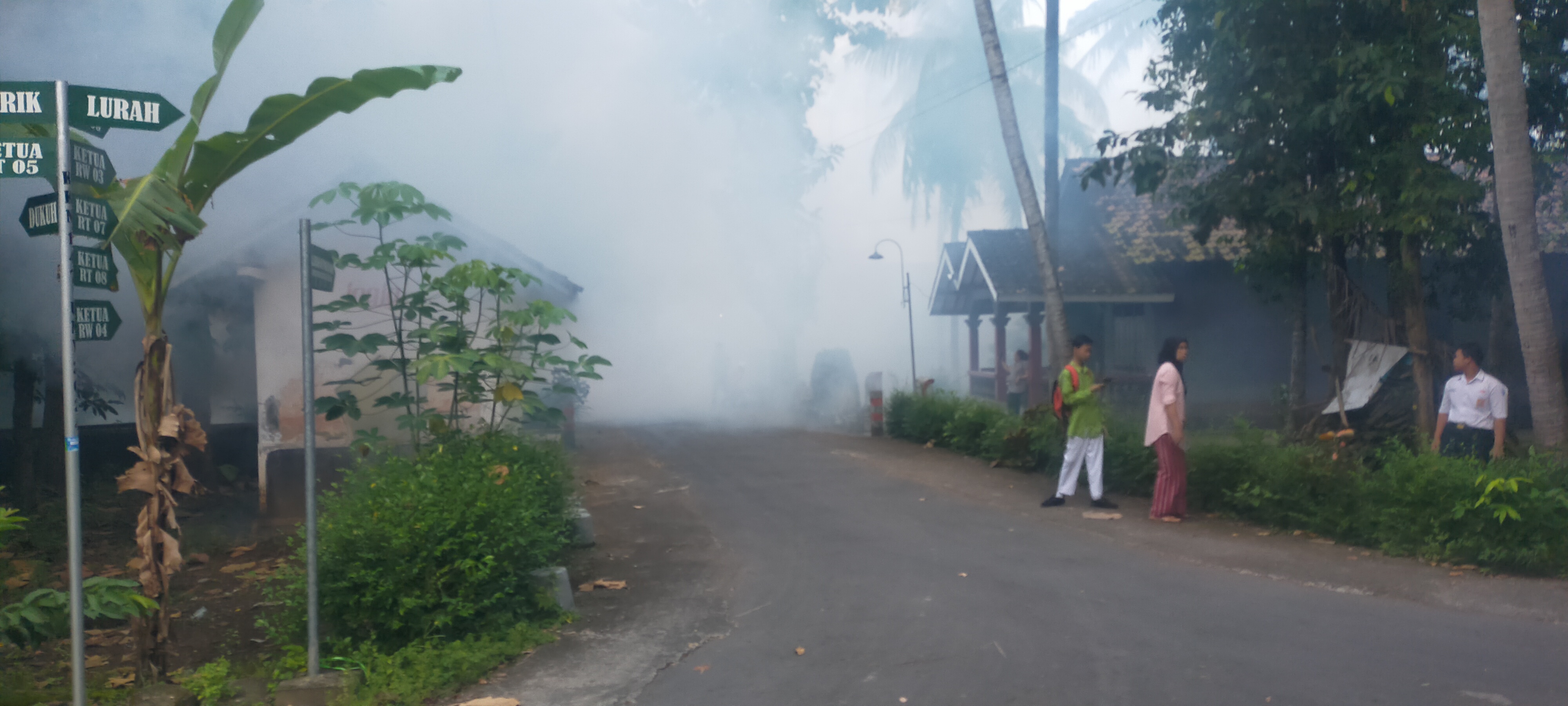 Kasus Demam Berdarah di Kulon Progo Tinggi, Begini Tanggapan Dinas Kesehatan