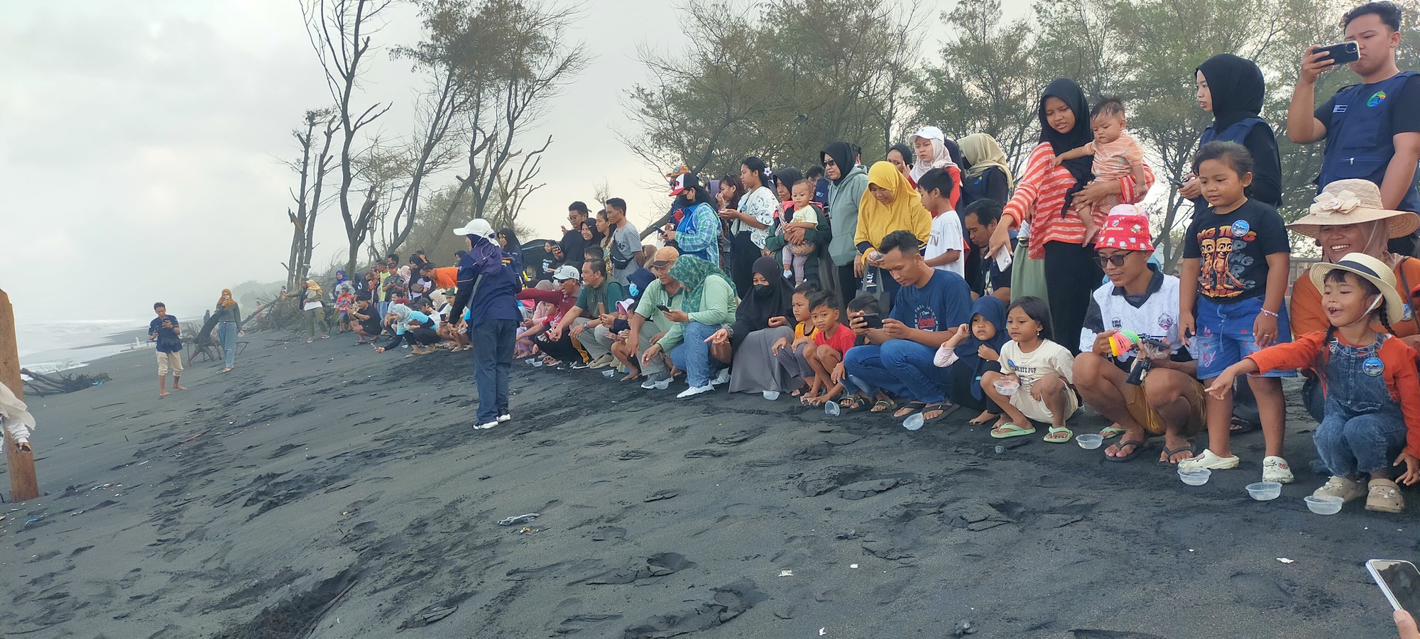 Puluhan Sarang Penyu Ditemukan di Kawasan Pantai Trisik Kulon Progo