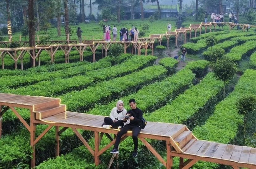 Rekomendasi wisata di Puncak Bogor 