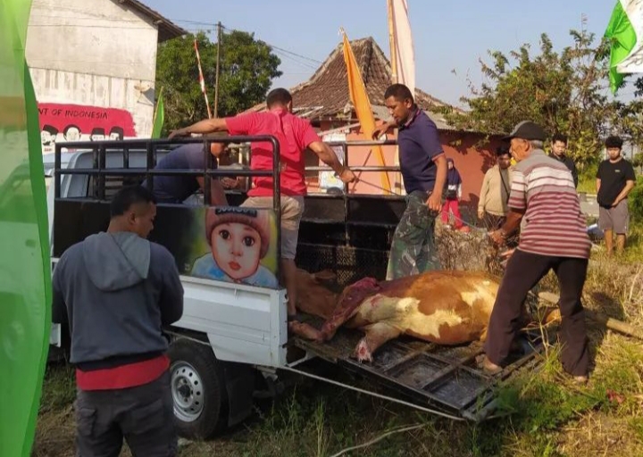 Sapi tertabrak kereta api di Pasar Perambanan