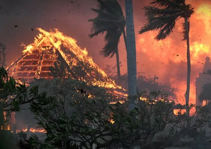 Kebakaran di hutan Hawaii