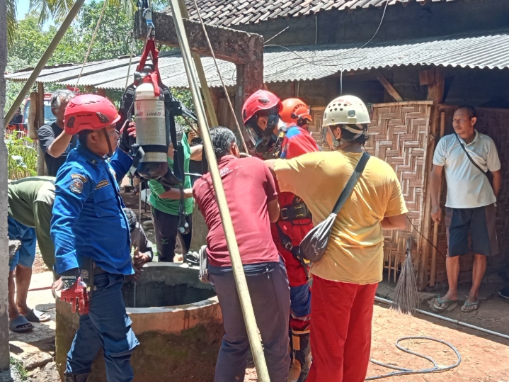 Seekor Sapi Masuk Ke Sumur, Proses Evakuasi Berlangsung 5 Jam