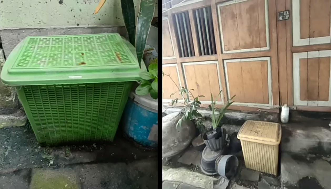 6 Ide Pengolahan Sampah Organik Mudah yang Bisa Dicoba Di Rumah 